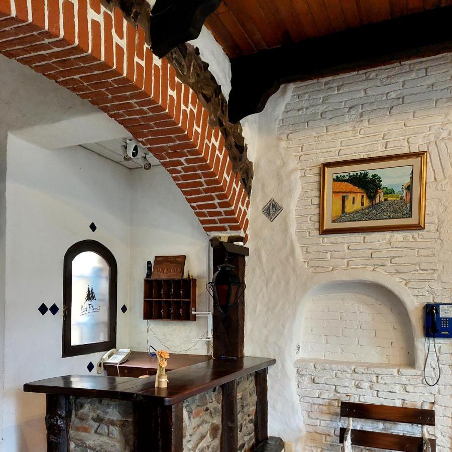 Posada Los Pinos Колонія-дель-Сакраменто Екстер'єр фото